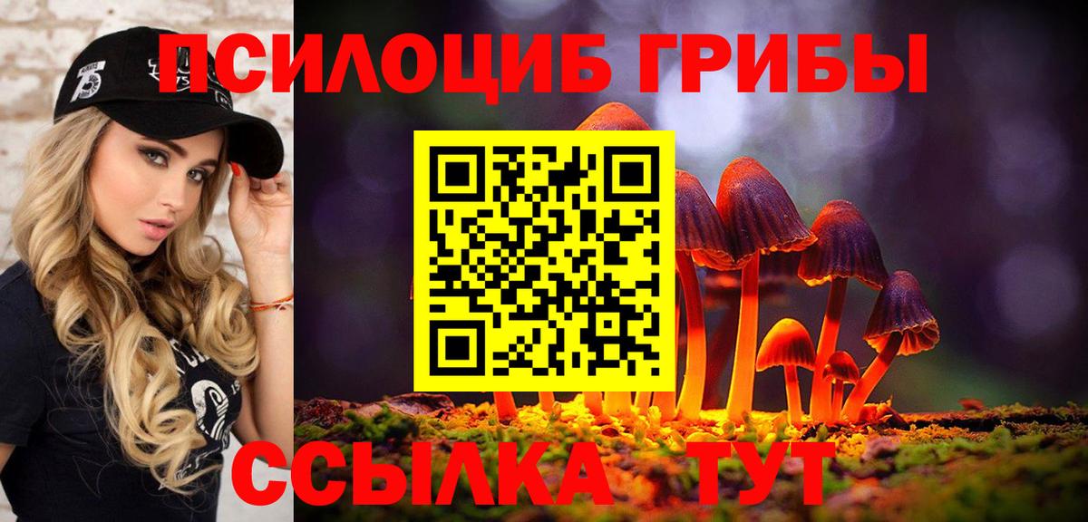 Псилоцибиновые грибы прущие грибы Нарткала