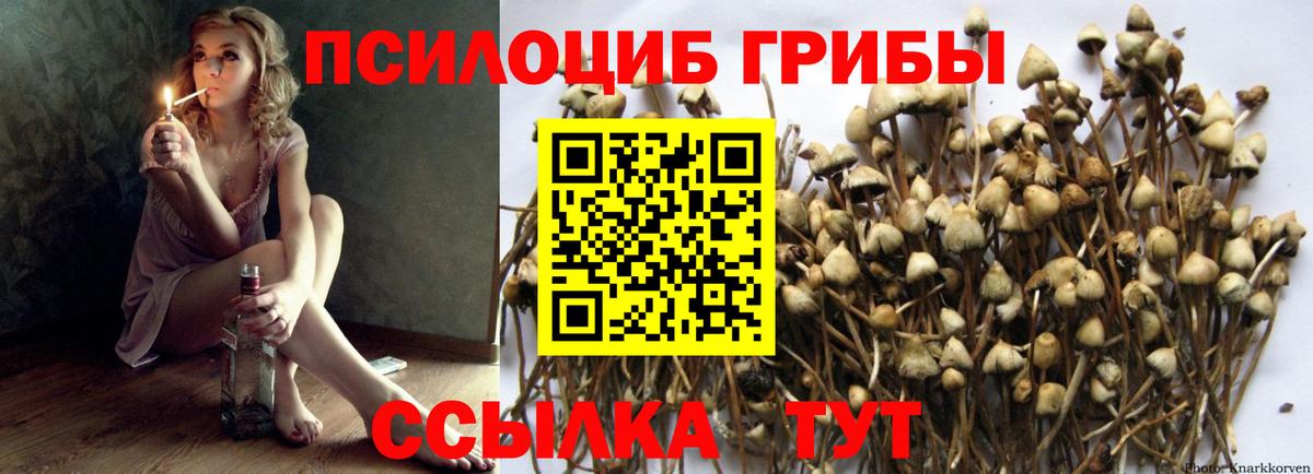 наркота  Галлюциногенные грибы мицелий  Вход с VPN  Нарткала  Галлюциногенные грибы MAGIC MUSHROOMS 